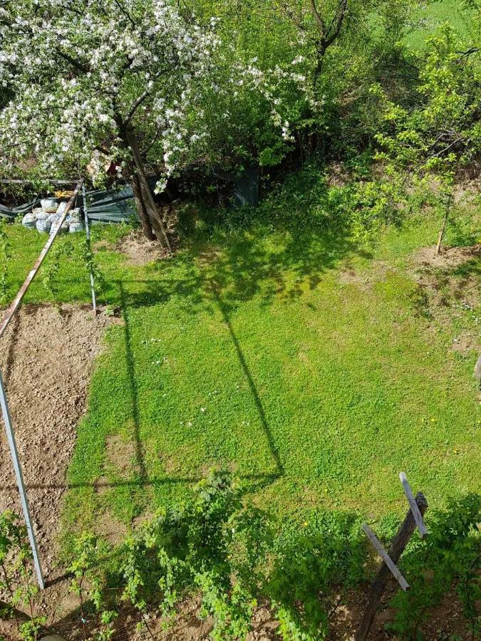 Visoko Homestay Exteriér fotografie